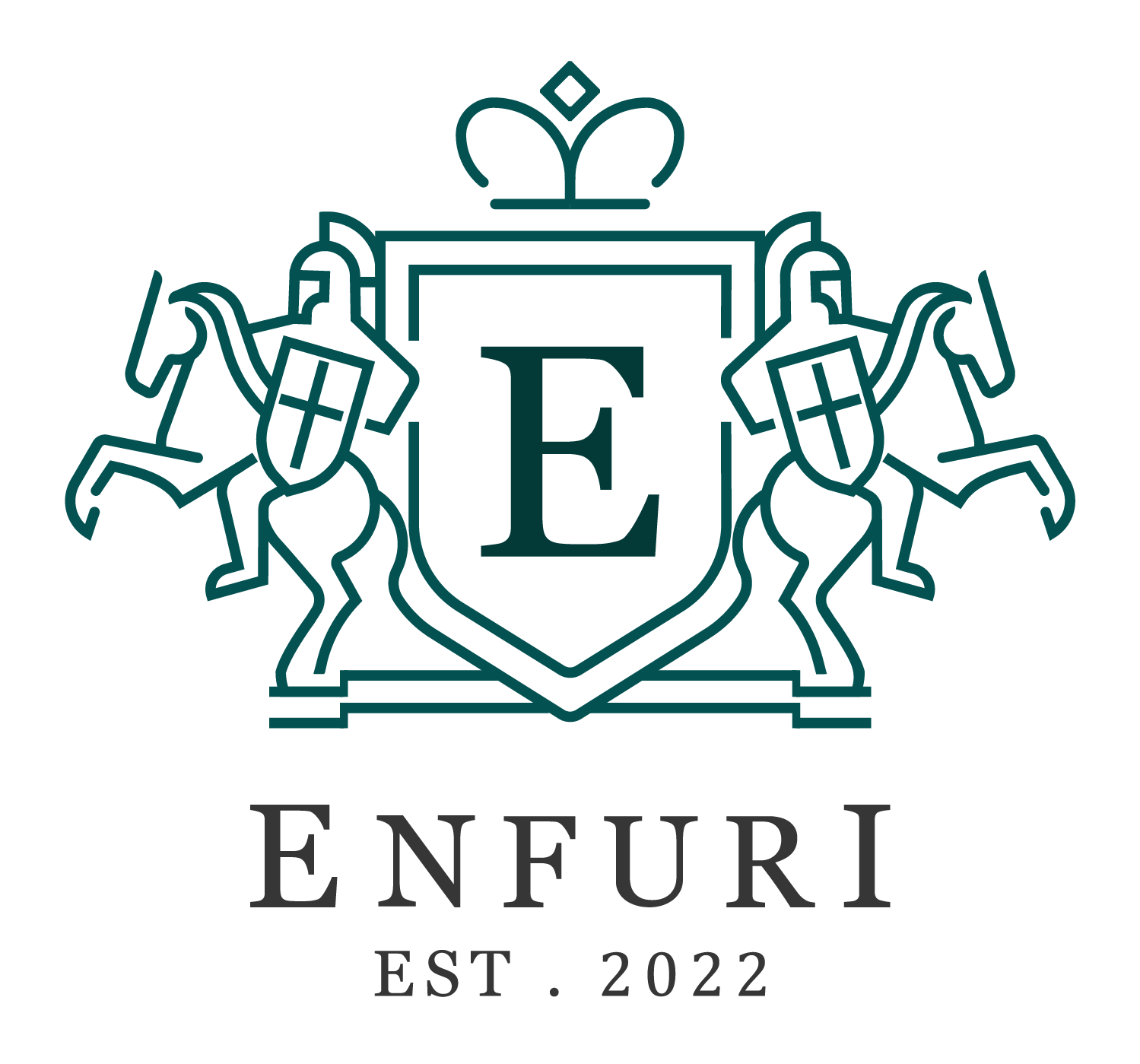 enfuri-logo-01